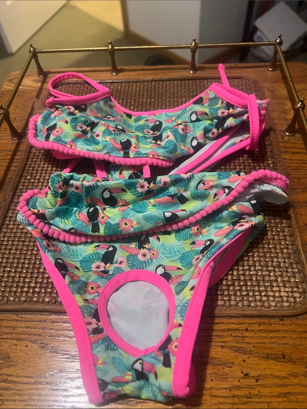 Top Paw Tropical Toucan Swim Set with Bright Pink Trim
